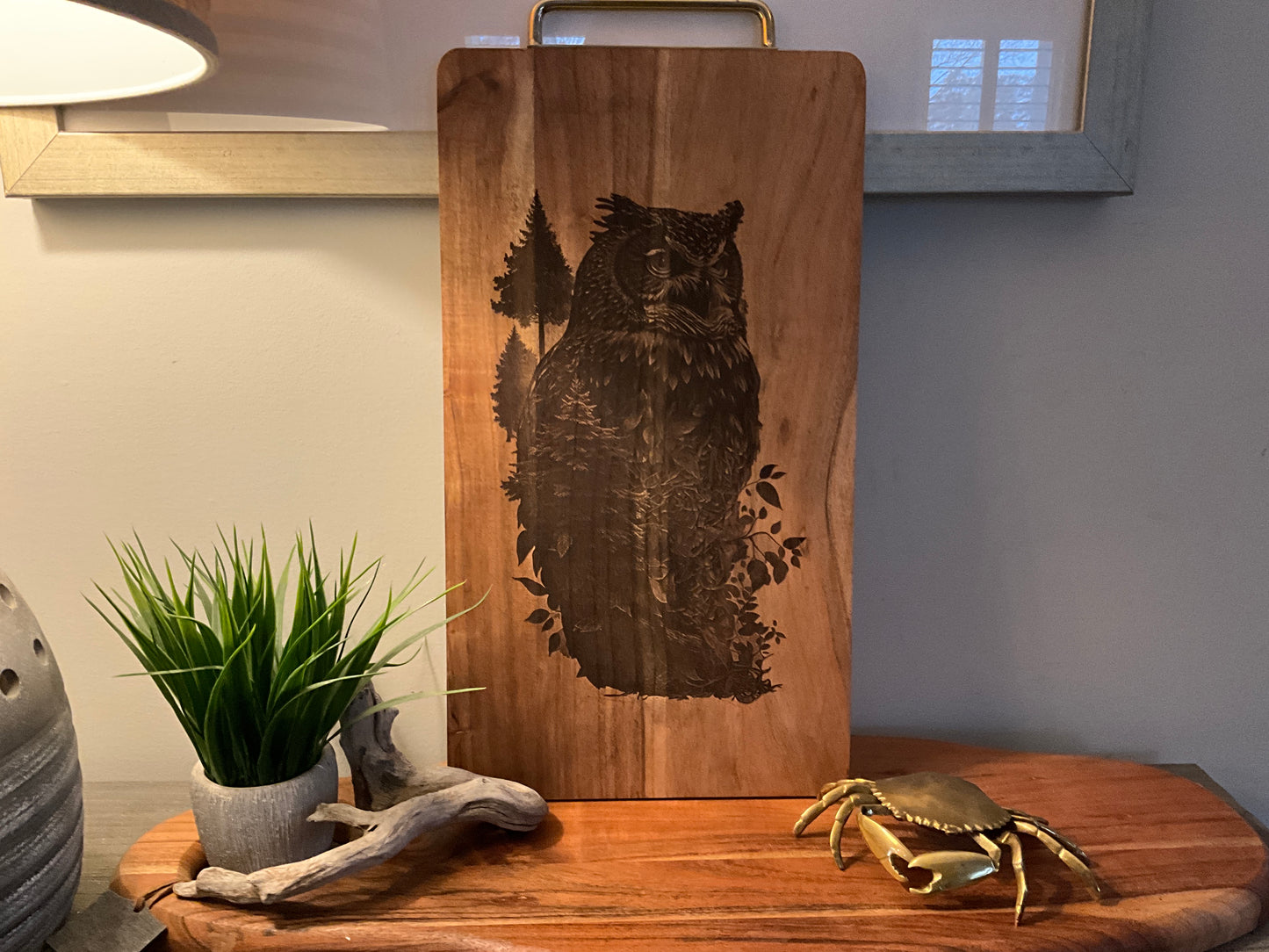 Owl