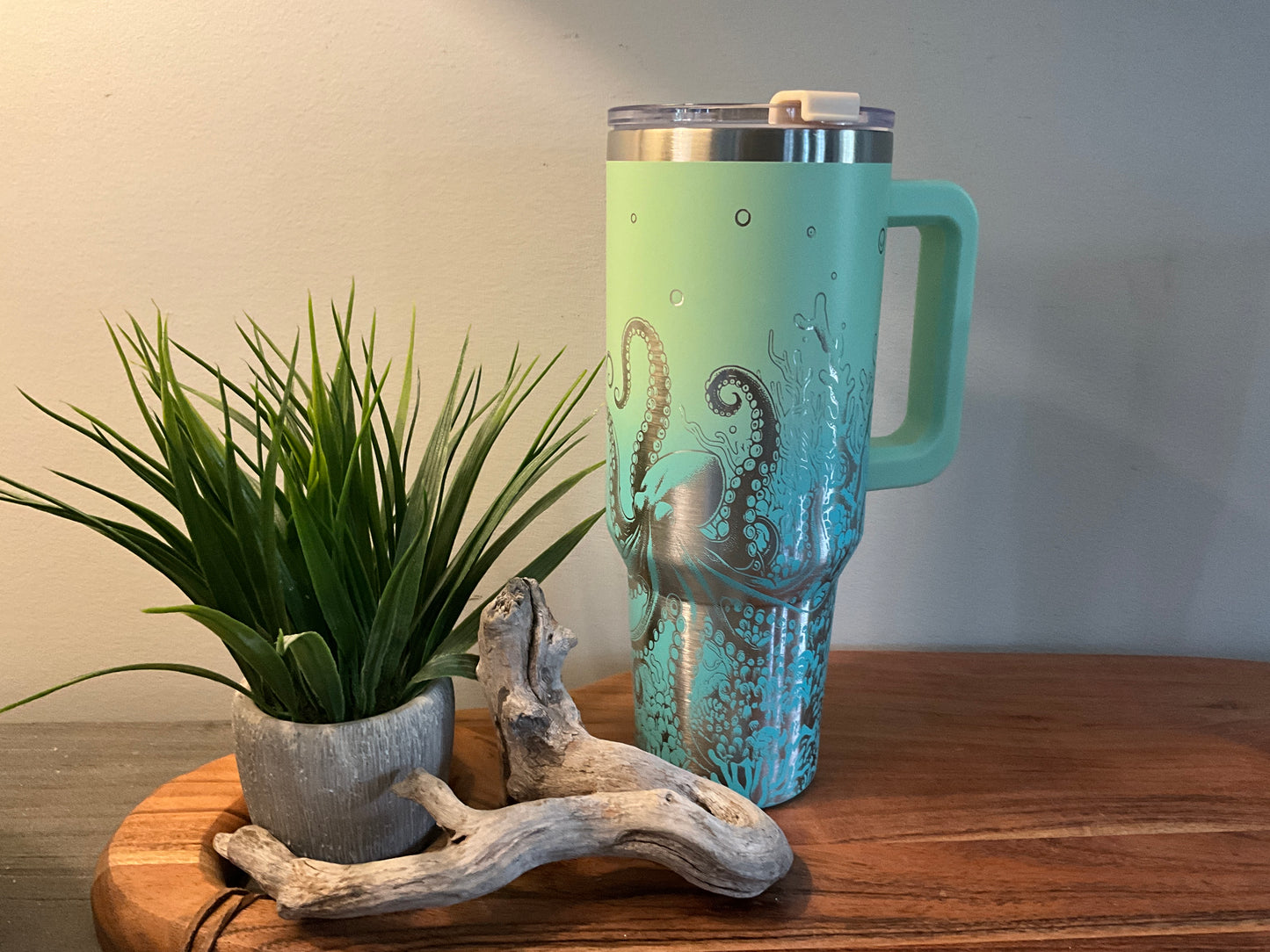 Sea Turtles & Octopus