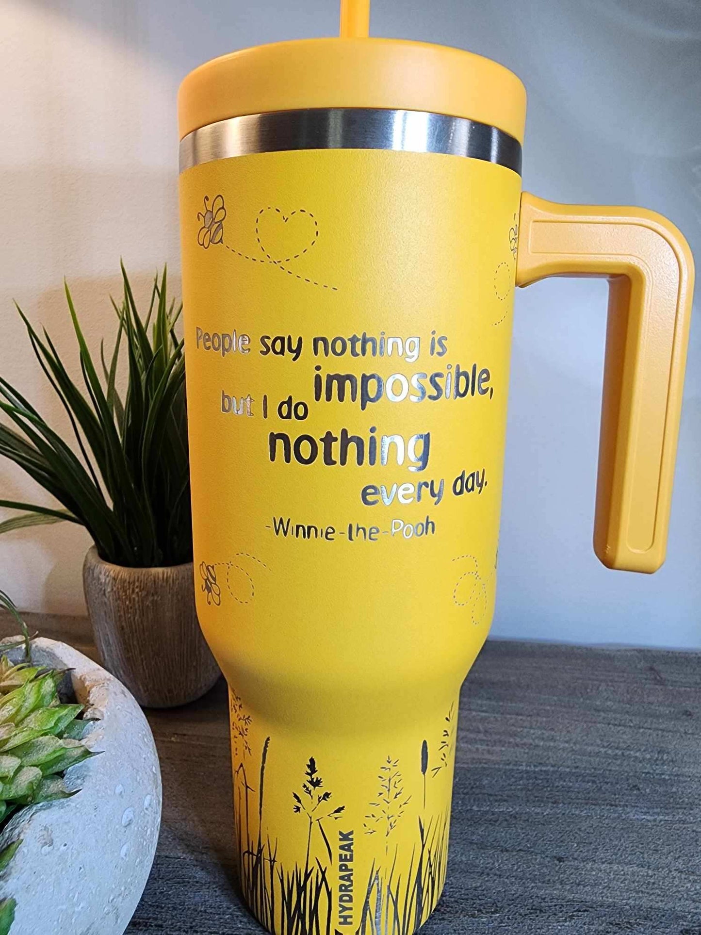 Pooh "Nothing is Impossible"