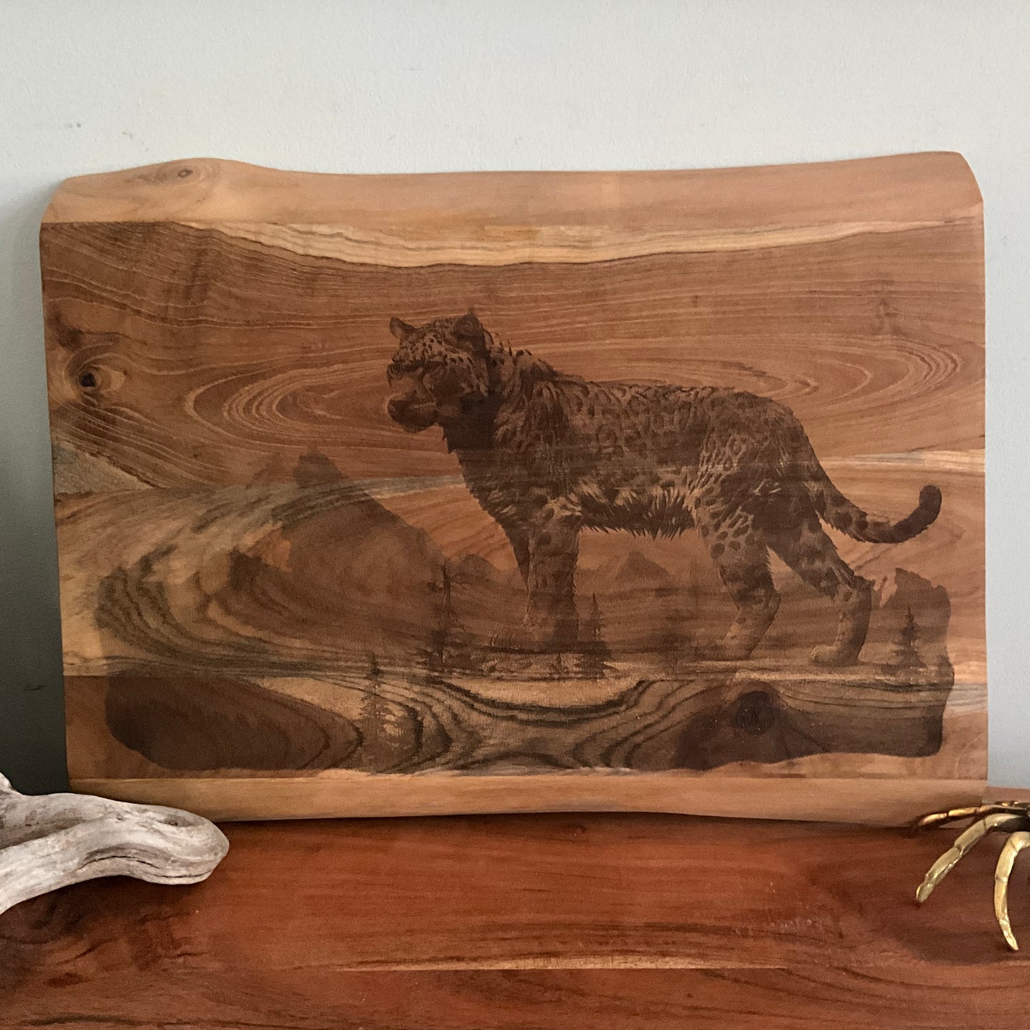 Cheetah