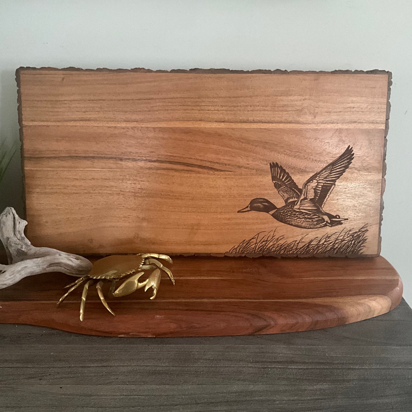 Duck flying over grass