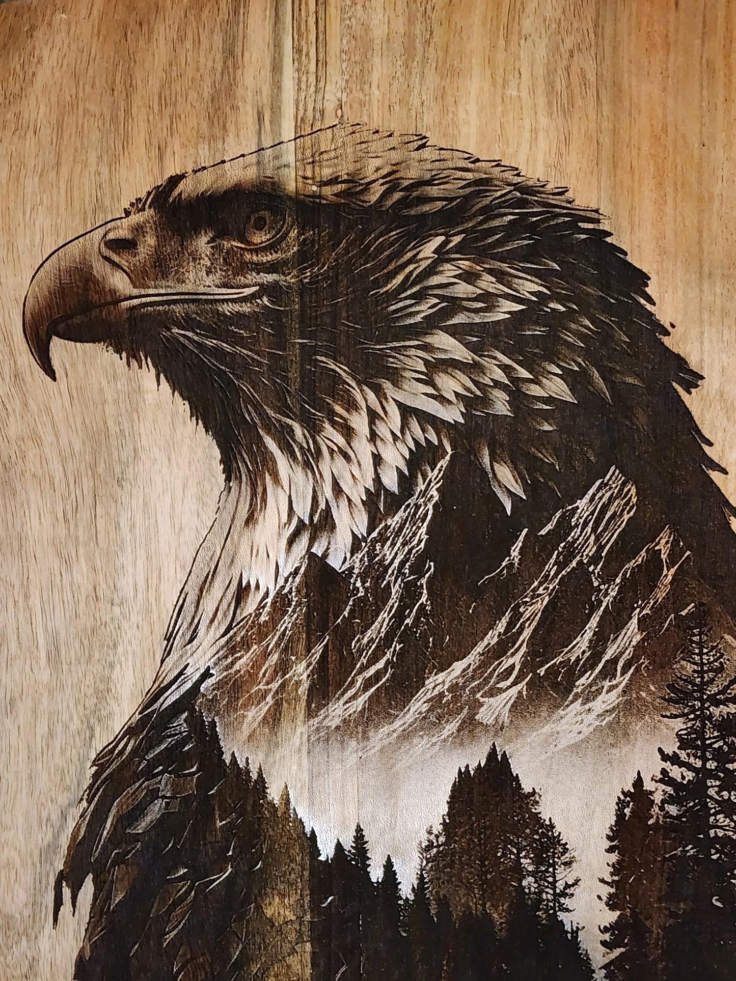 Bald Eagle - full engrave
