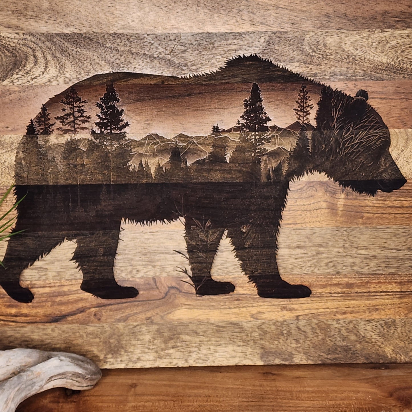 Bear with mountains