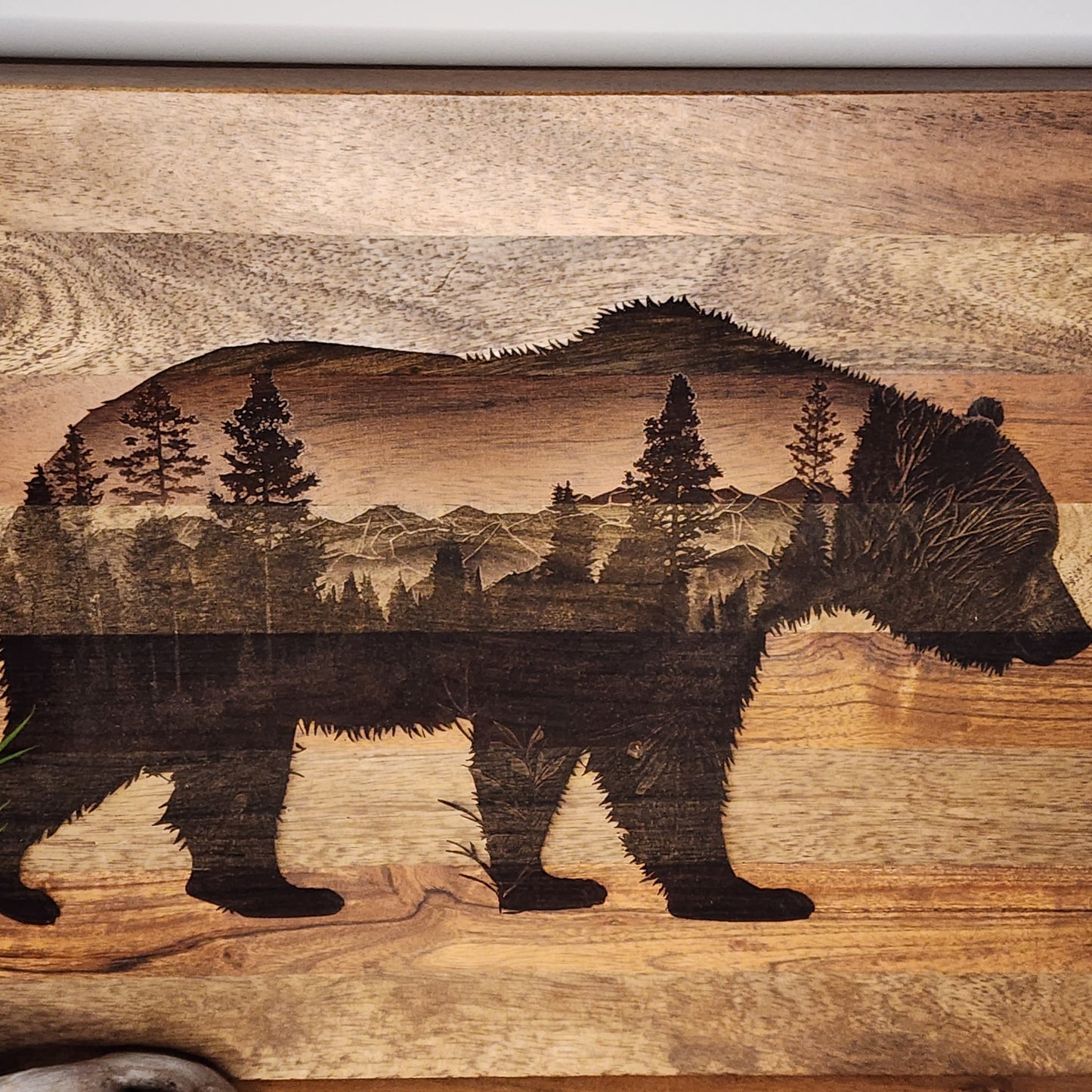 Bear with mountains