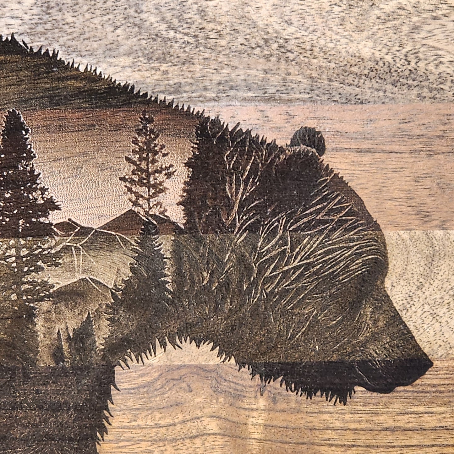 Bear with mountains