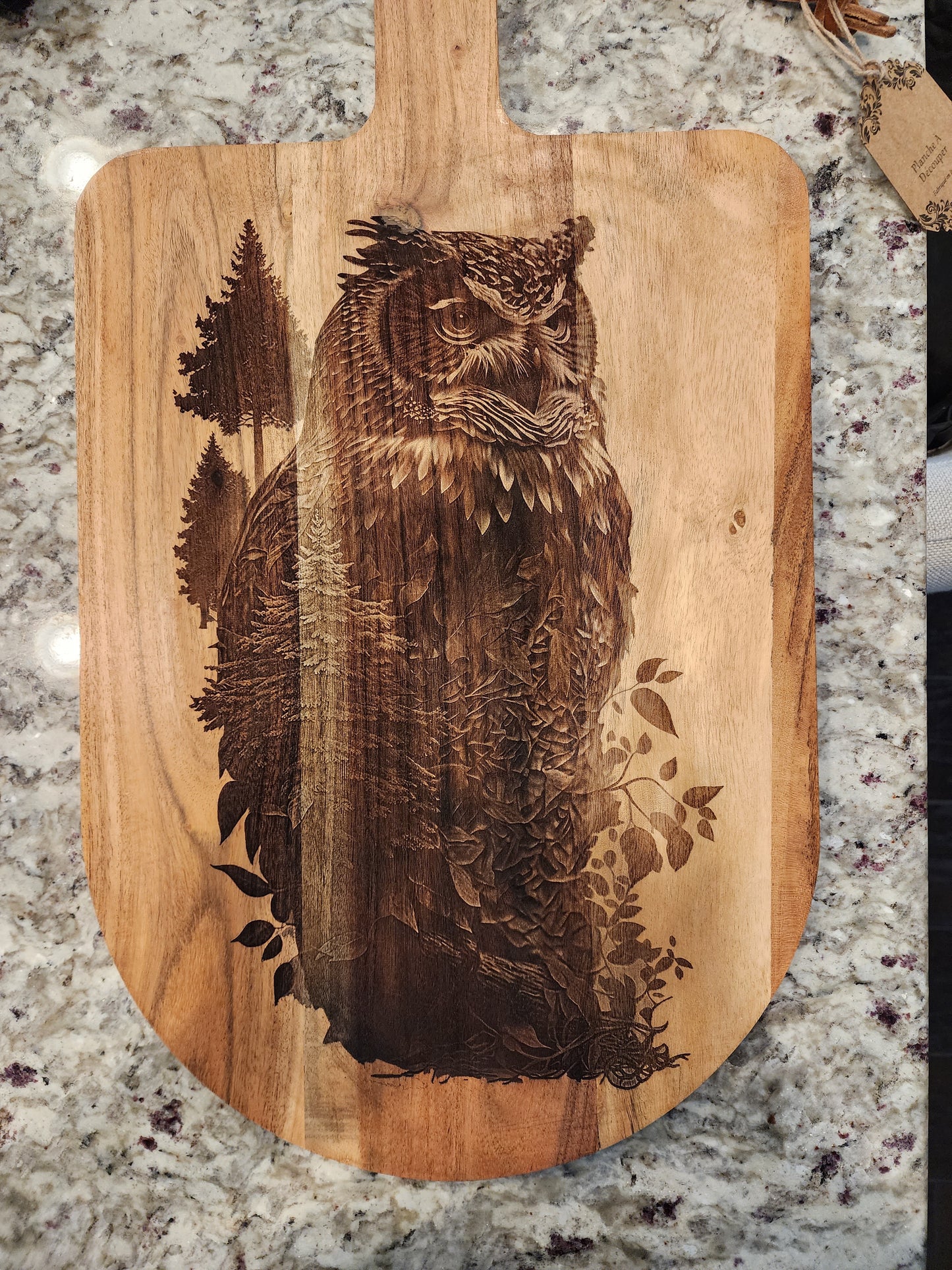 Owl