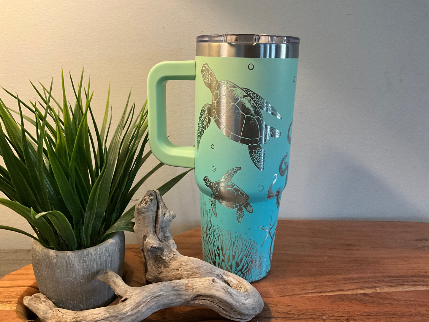 Sea Turtles & Octopus