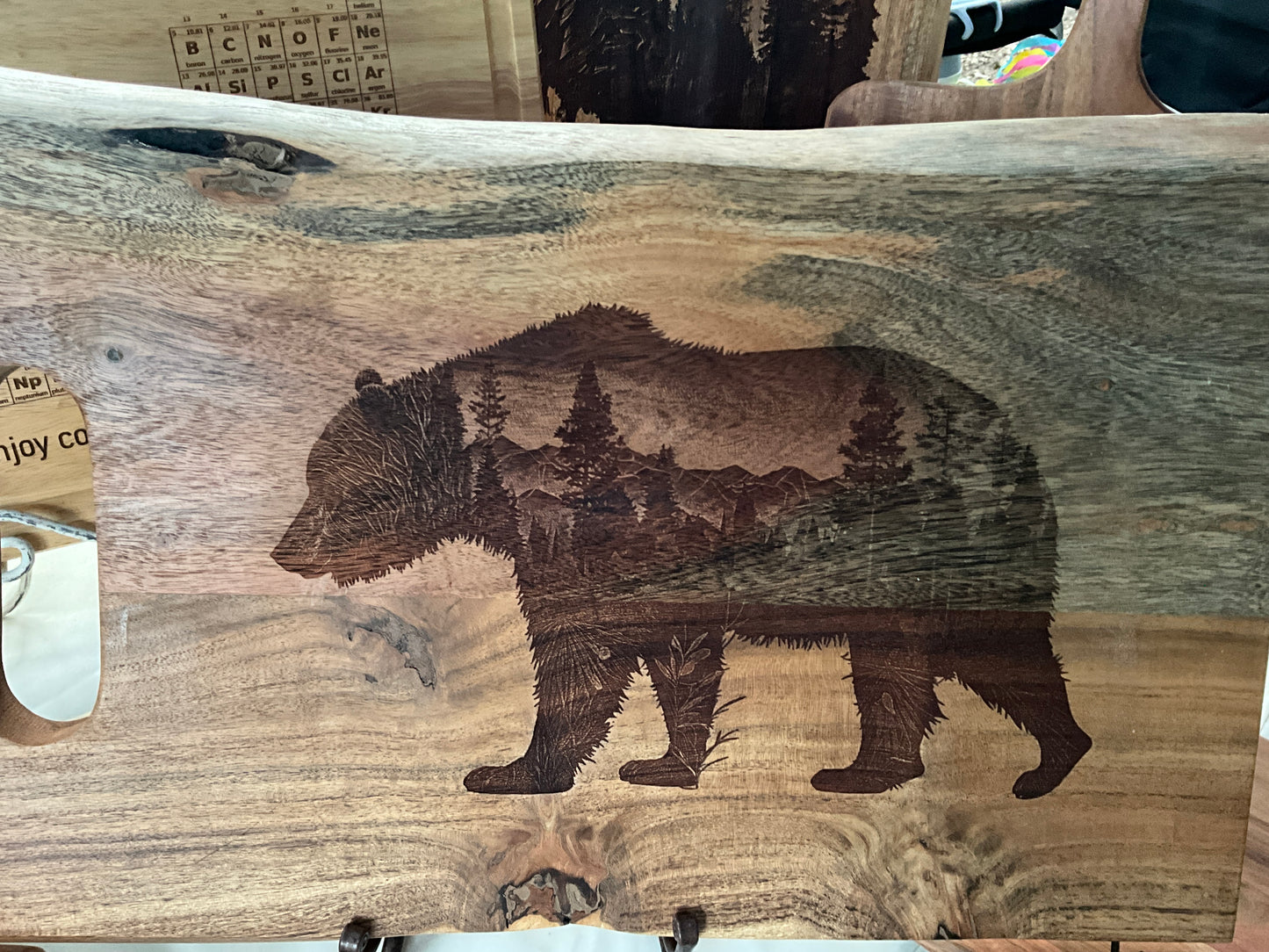 Bear with mountains
