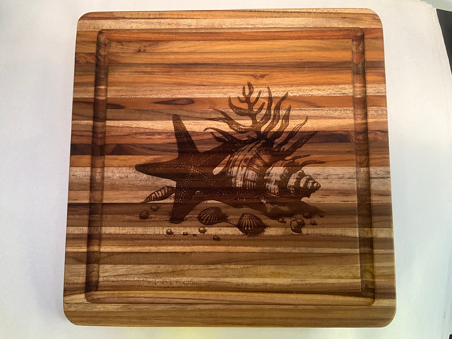 Shells and Starfish