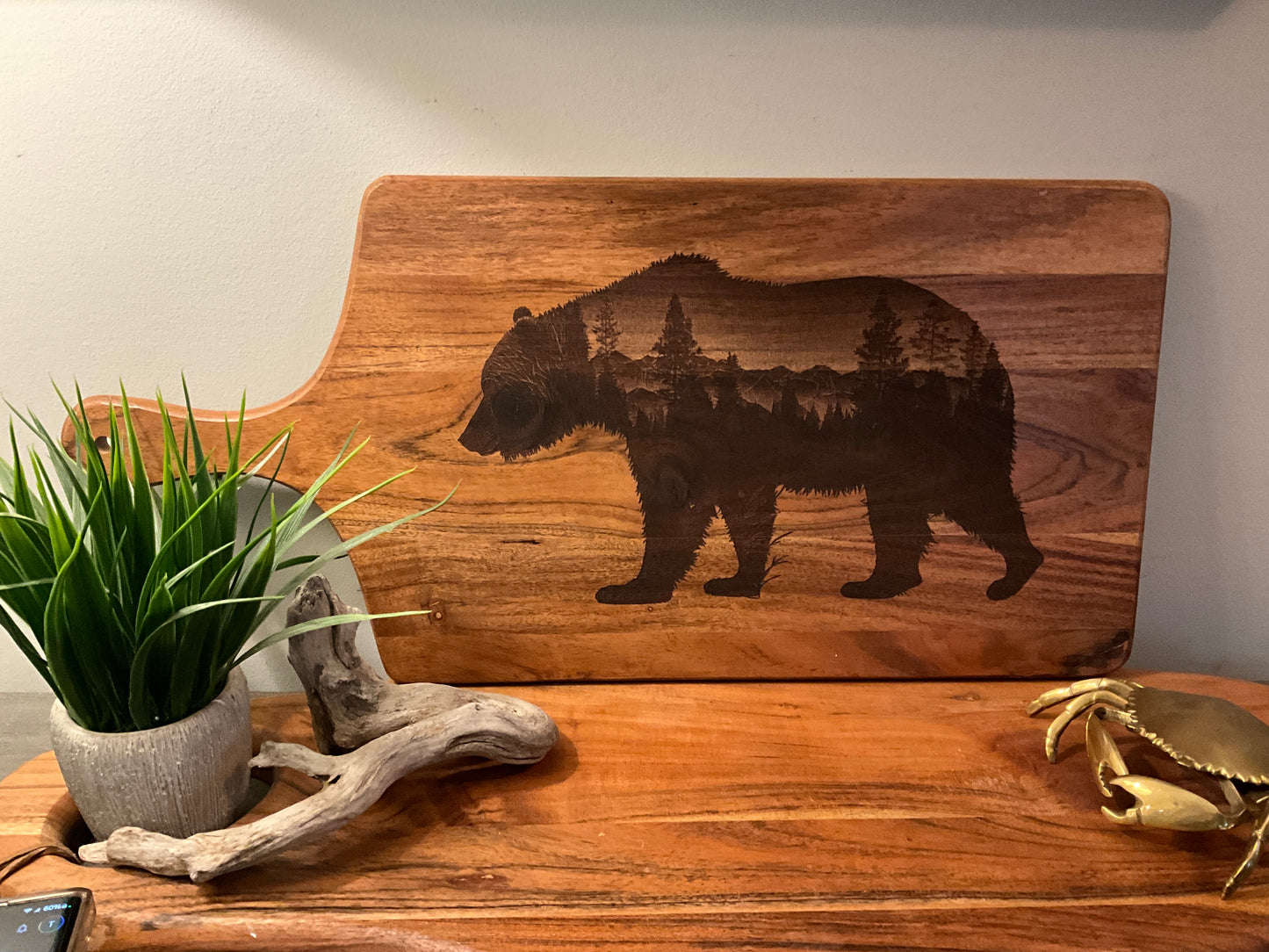 Bear with mountains