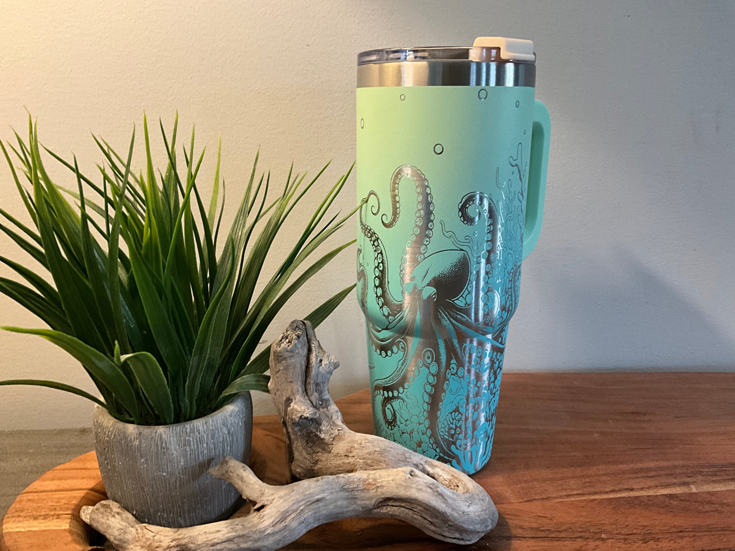 Sea Turtles & Octopus