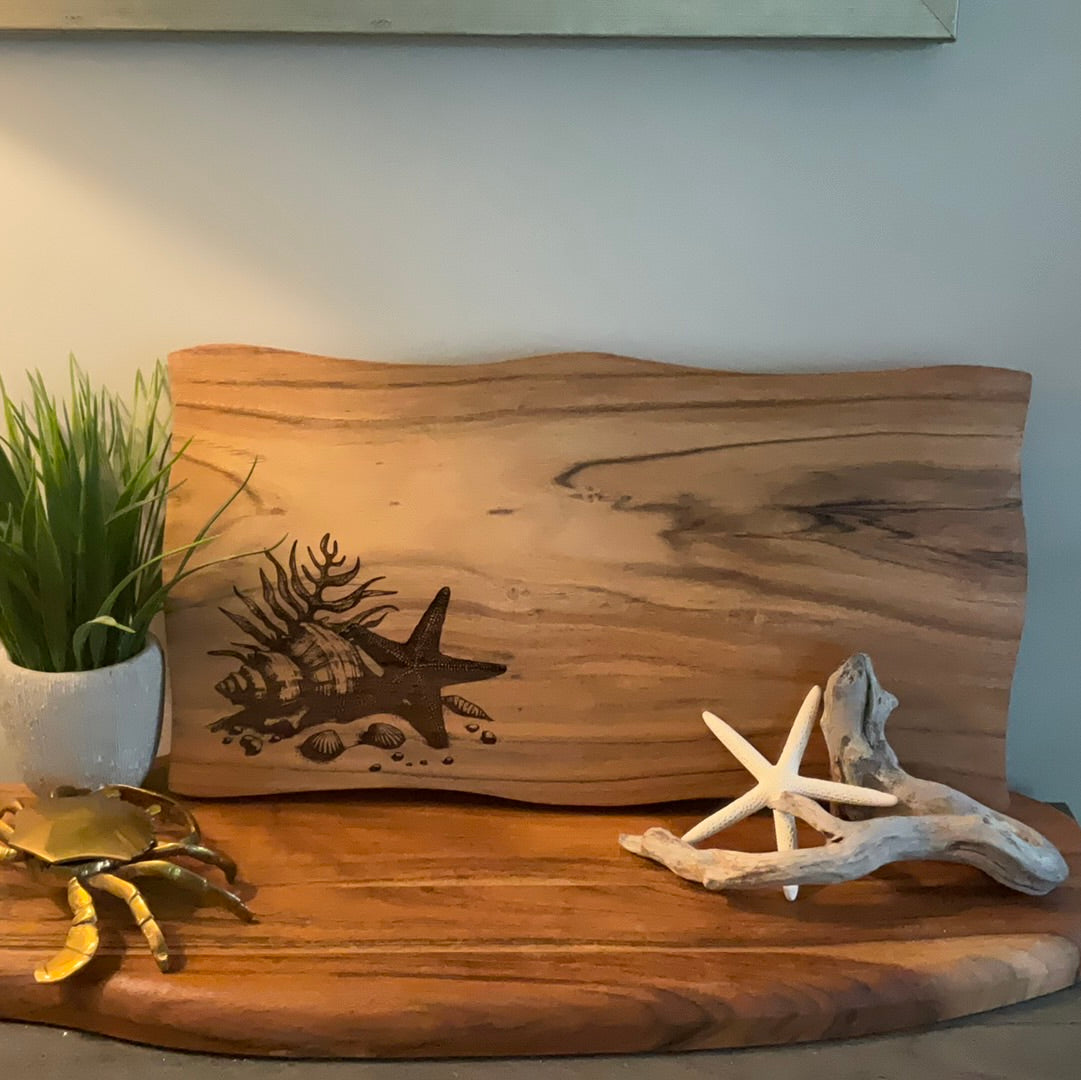 Shells and Starfish