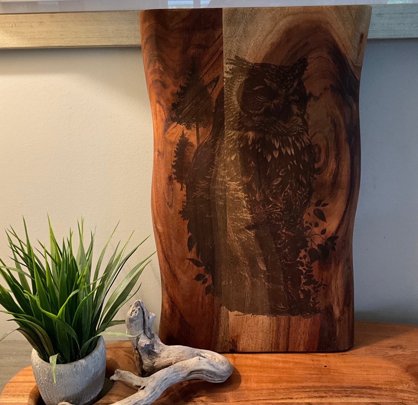 Owl