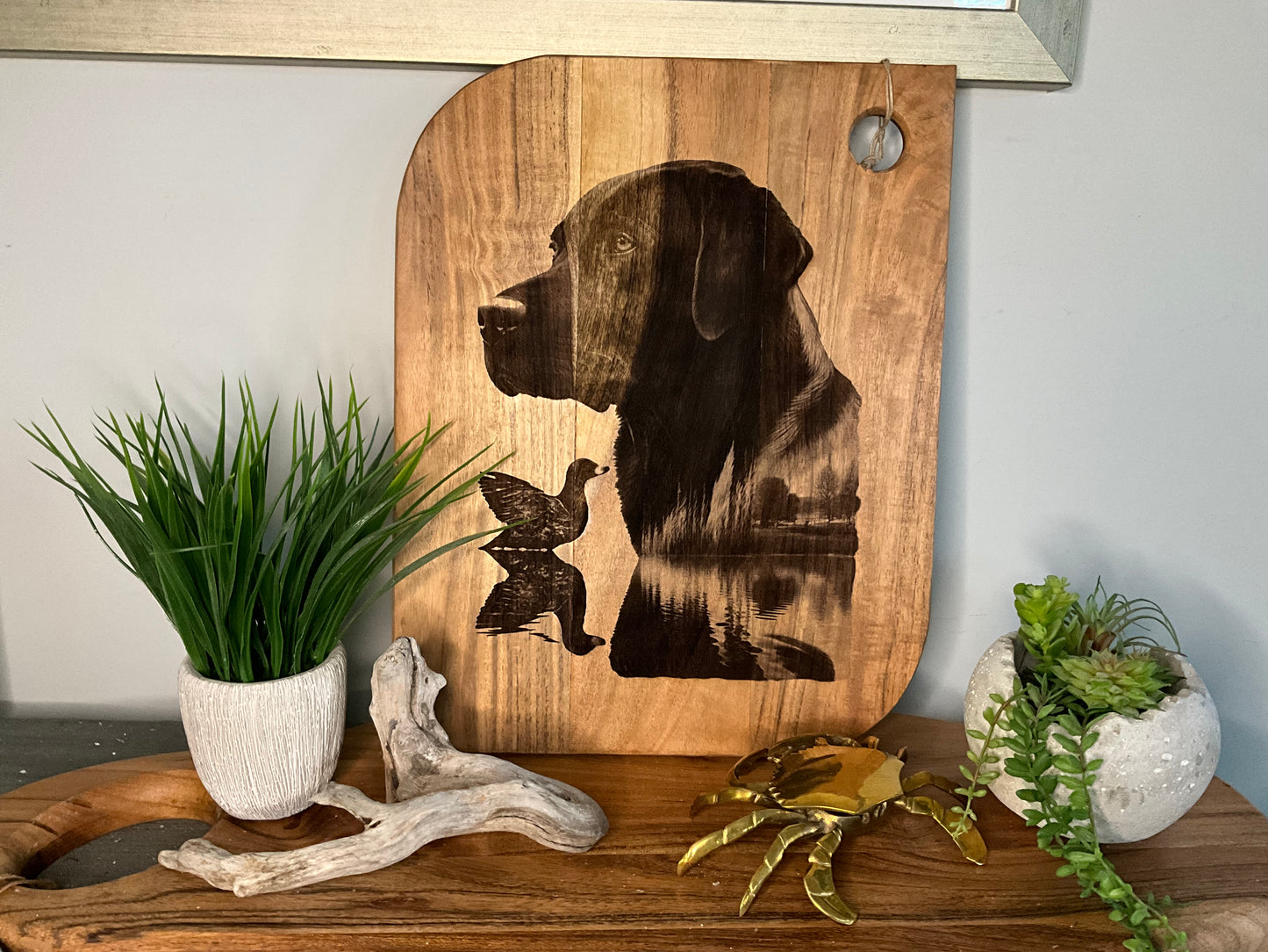 Labrador retriever or frenchie