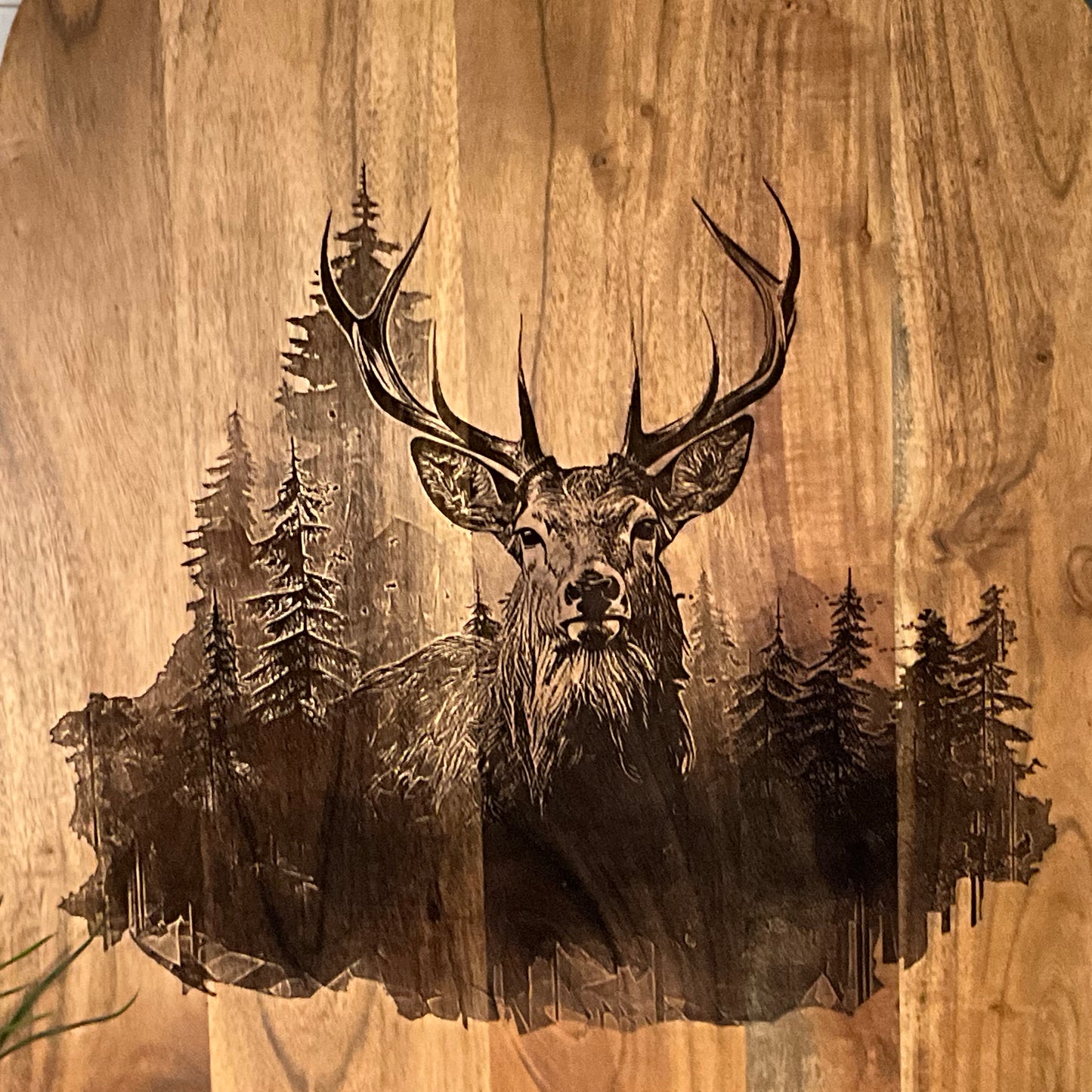 Deer