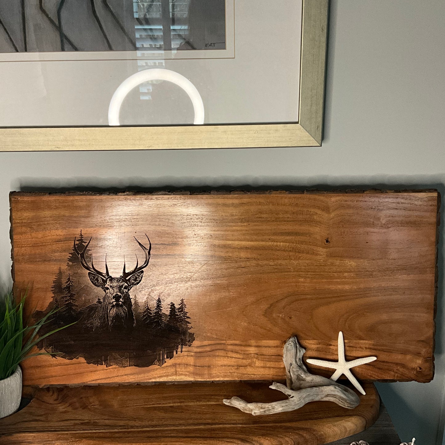 Deer
