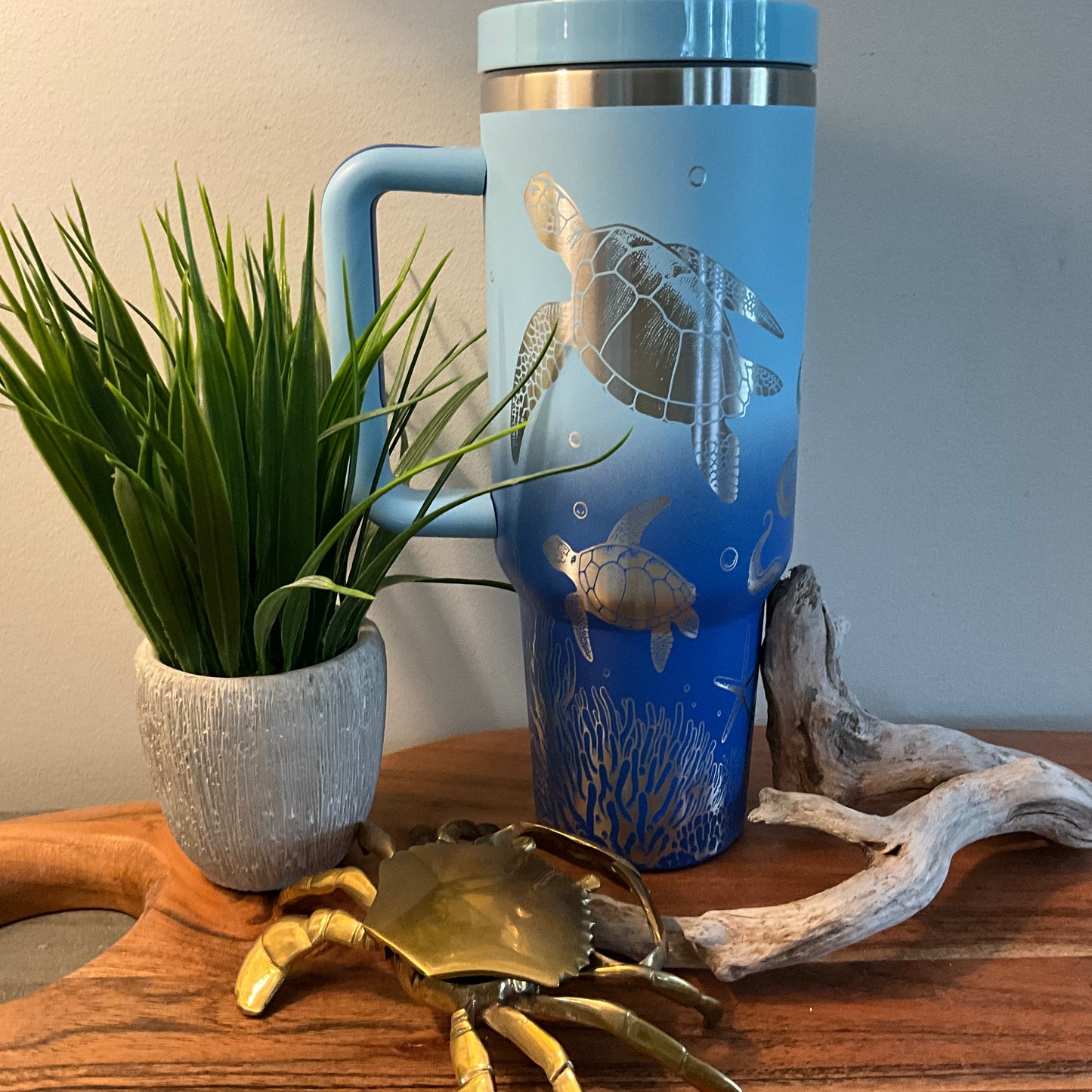 Sea Turtles & Octopus