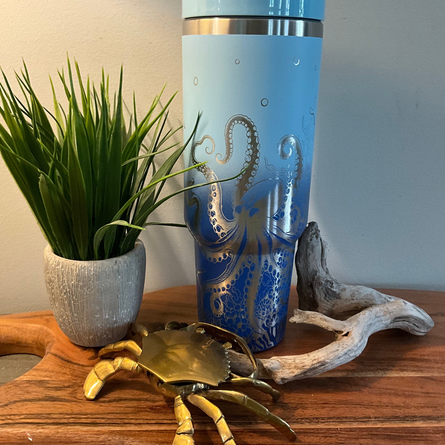 Sea Turtles & Octopus