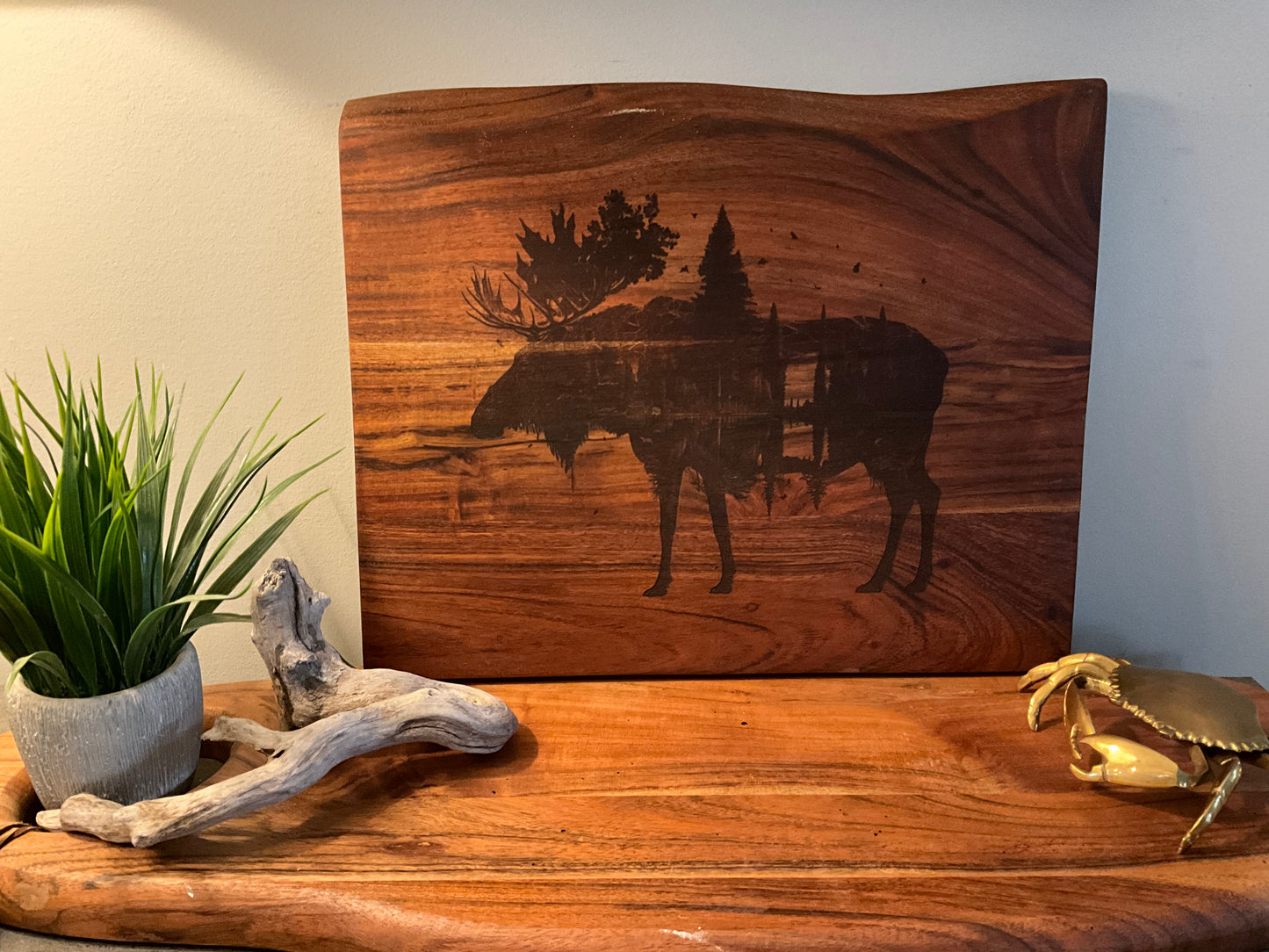 Moose