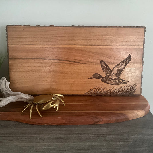 Duck flying over grass